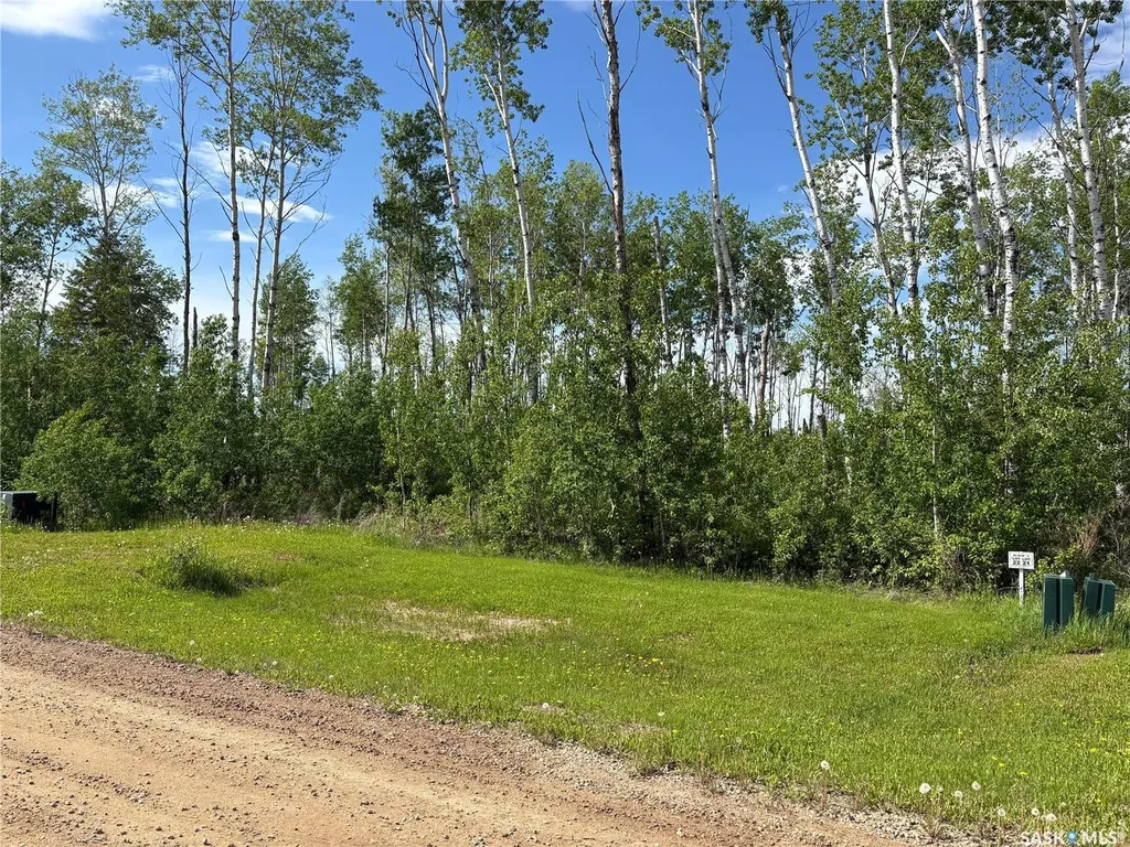 Rural Address Big River Rm No. 555 SK S0J 0E0
