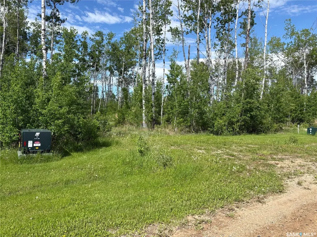 Rural Address Big River Rm No. 555 SK S0J 0E0
