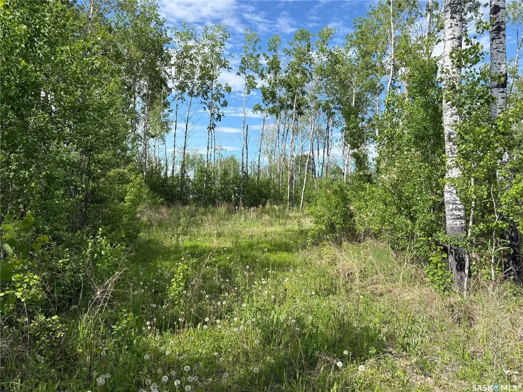 Rural Address Big River Rm No. 555 SK S0J 0E0
