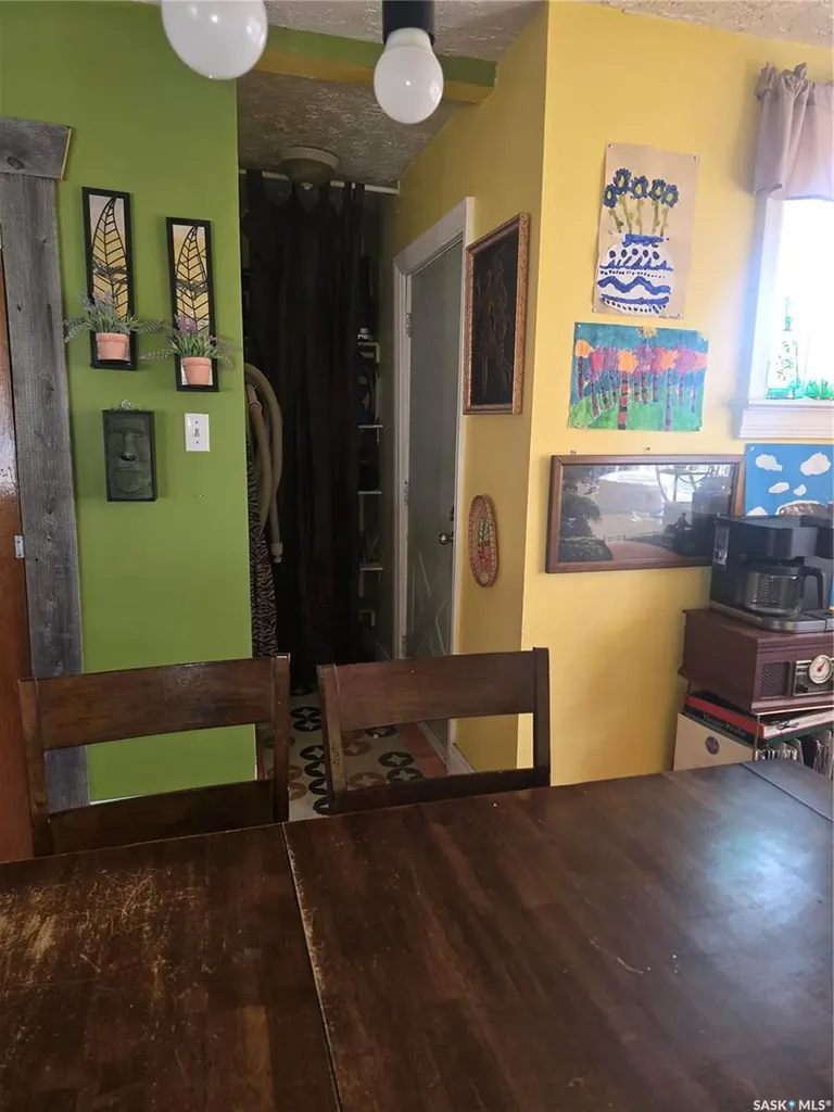 209 Allan Street Dundurn SK S0K 1K0