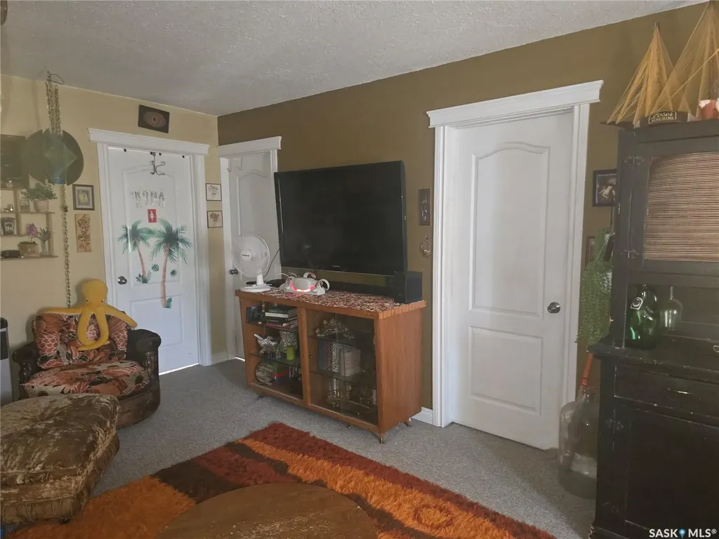 209 Allan Street Dundurn SK S0K 1K0