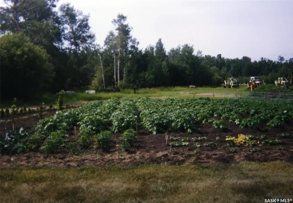 Rural Address Porcupine Rm No. 395 SK S0E 1H0