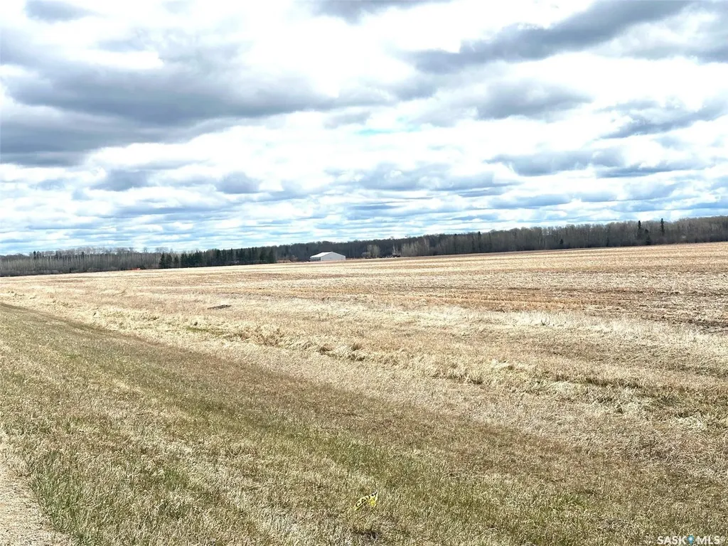Rural Address Porcupine Rm No. 395 SK S0E 1H0