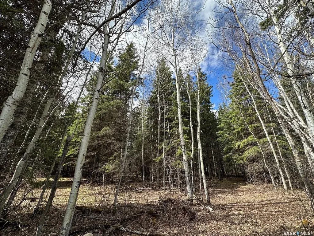 Rural Address Porcupine Rm No. 395 SK S0E 1H0