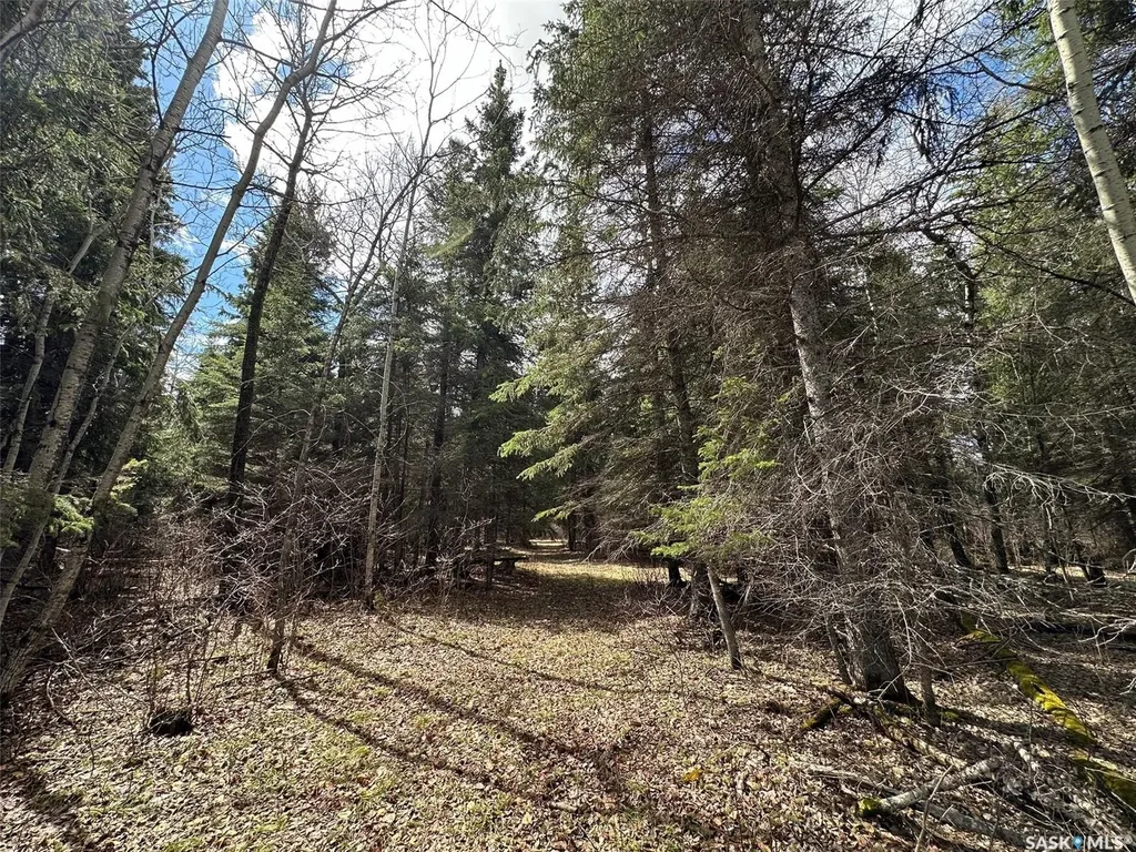 Rural Address Porcupine Rm No. 395 SK S0E 1H0