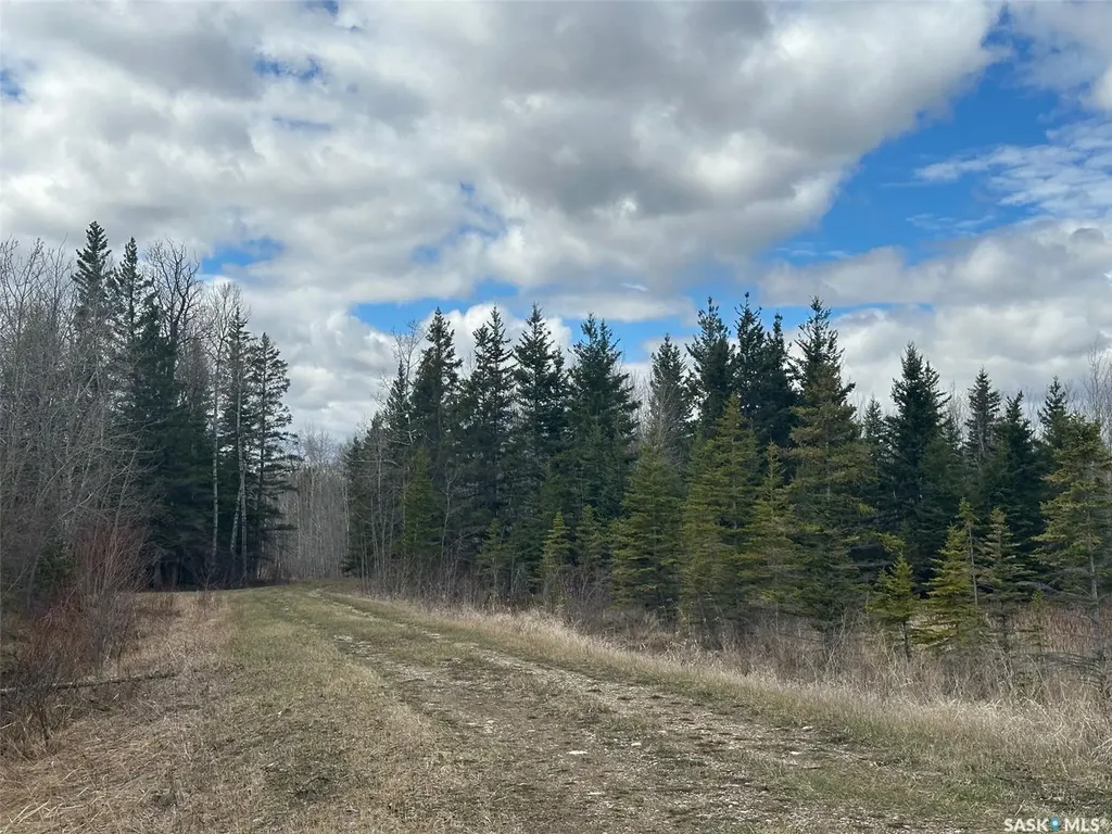 Rural Address Porcupine Rm No. 395 SK S0E 1H0