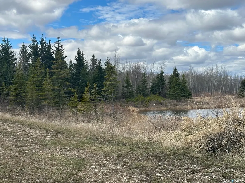 Rural Address Porcupine Rm No. 395 SK S0E 1H0