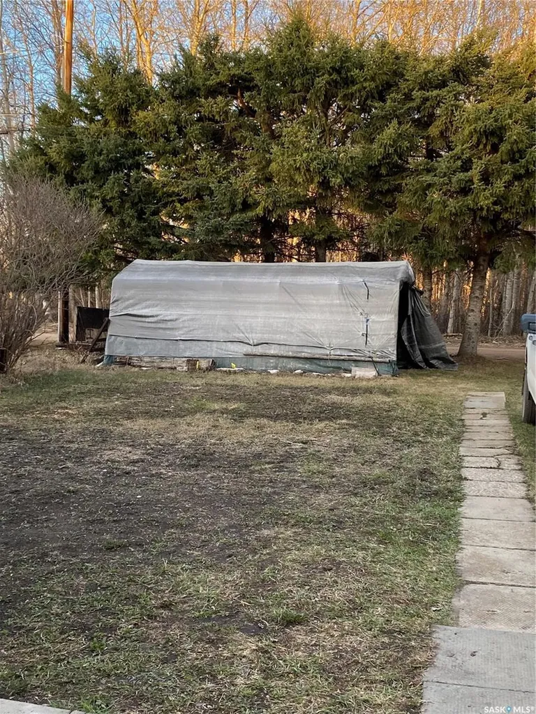 206 Albert Street Hudson Bay SK S0E 0Y0
