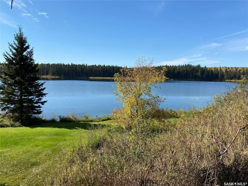 342 Johnson Crescent Big River SK S0J 0E0