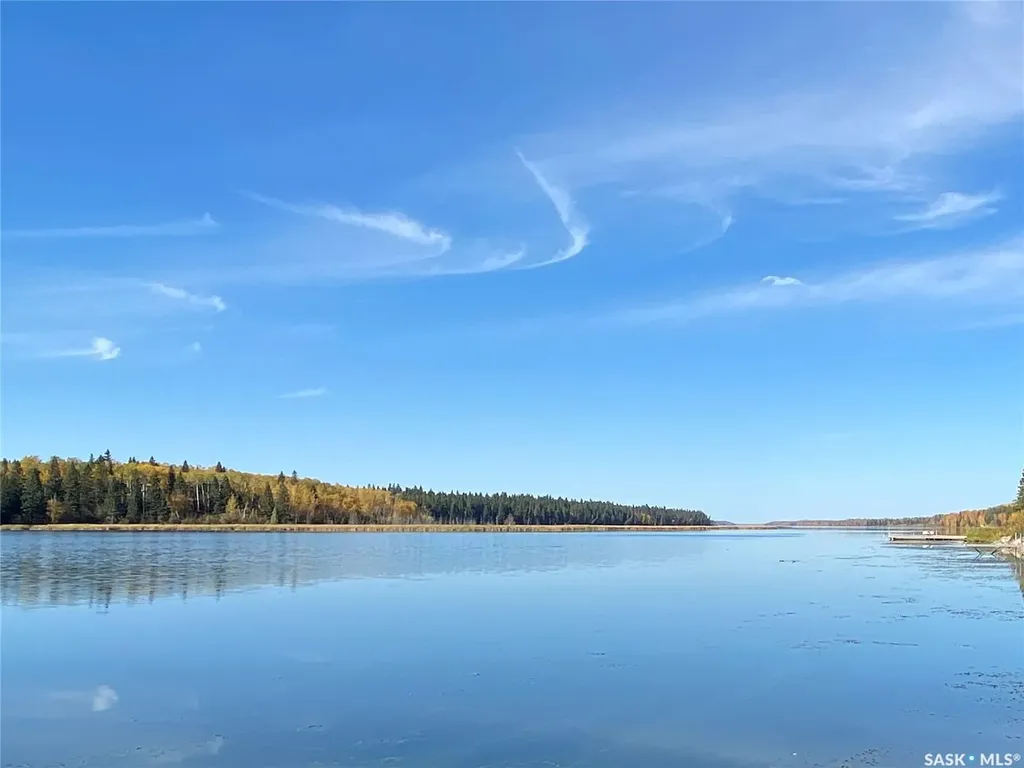 342 Johnson Crescent Big River SK S0J 0E0