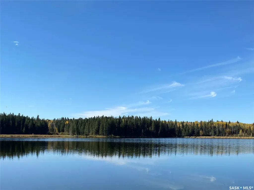 342 Johnson Crescent Big River SK S0J 0E0