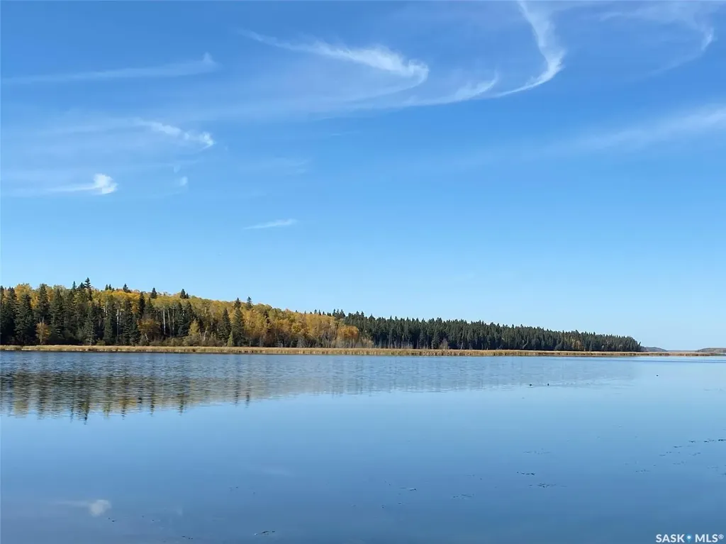 342 Johnson Crescent Big River SK S0J 0E0