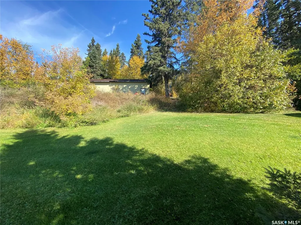 342 Johnson Crescent Big River SK S0J 0E0