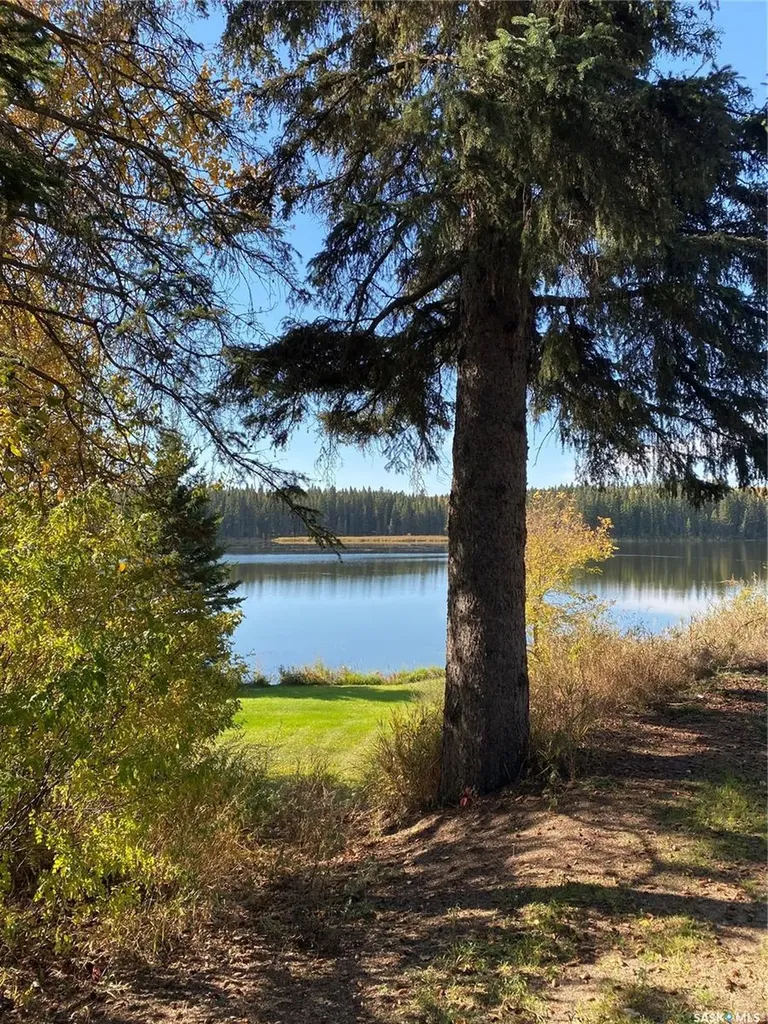 342 Johnson Crescent Big River SK S0J 0E0