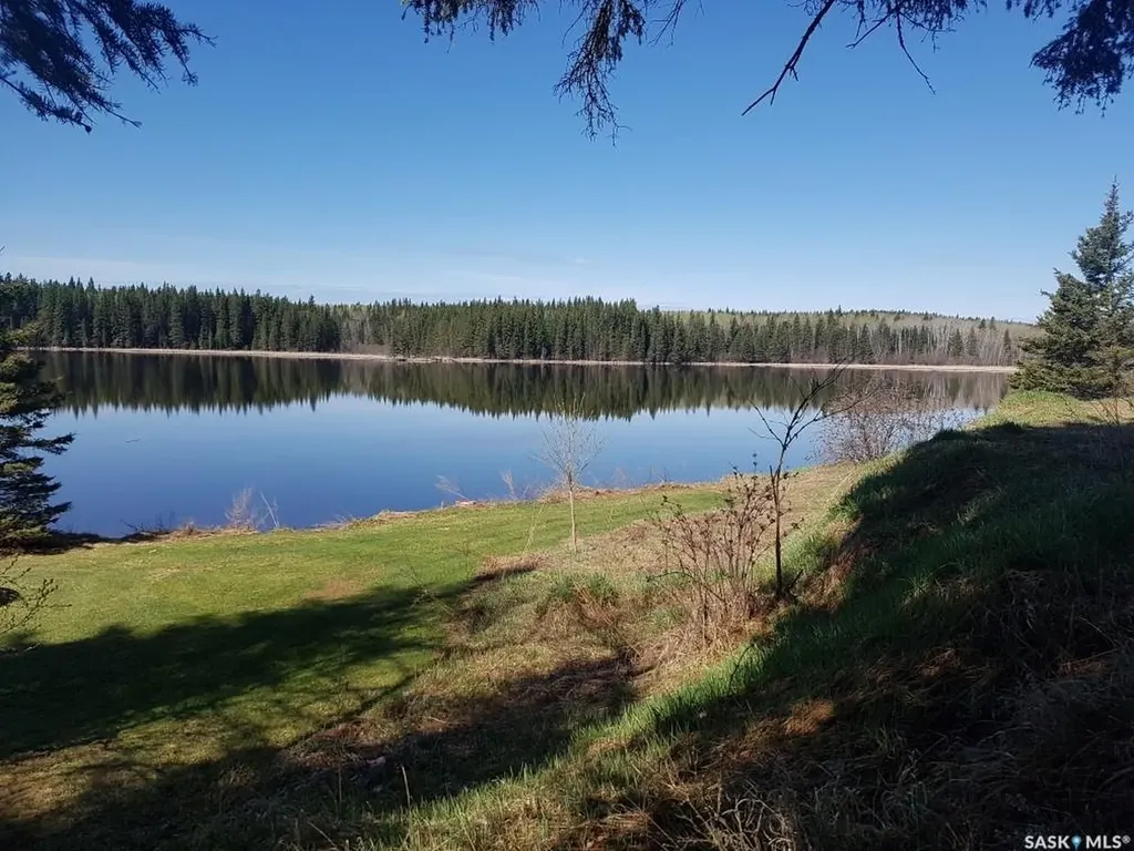 342 Johnson Crescent Big River SK S0J 0E0