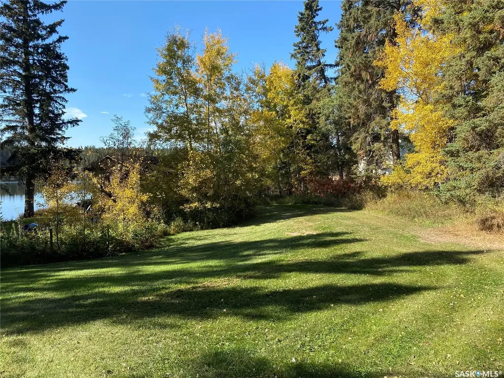 342 Johnson Crescent Big River SK S0J 0E0