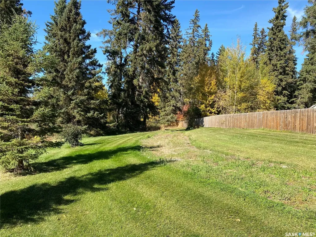 342 Johnson Crescent Big River SK S0J 0E0