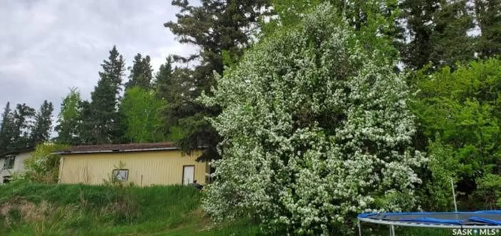 342 Johnson Crescent Big River SK S0J 0E0