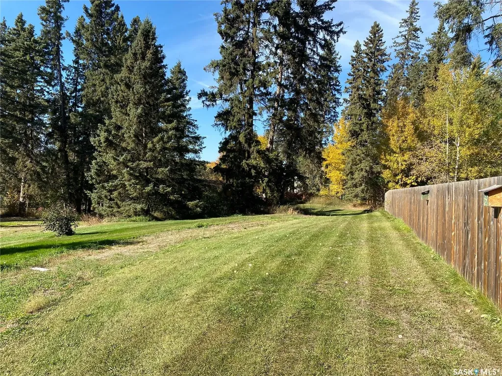 342 Johnson Crescent Big River SK S0J 0E0