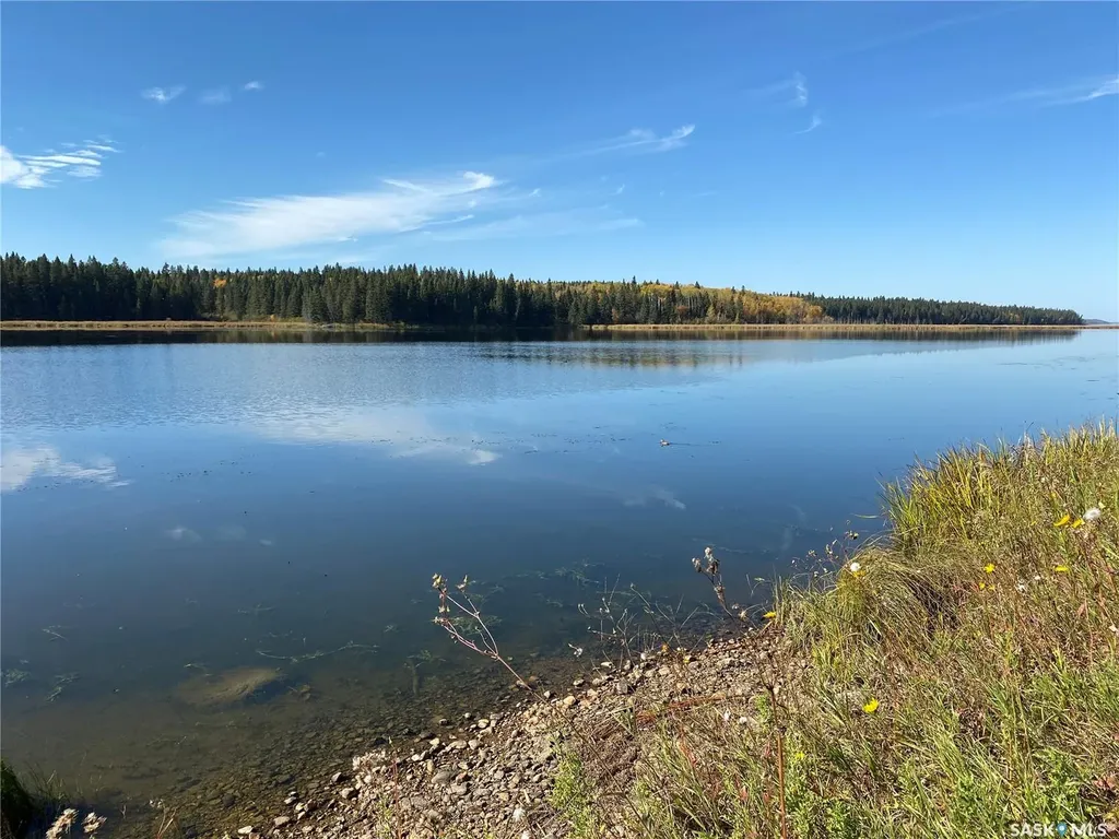 338 Johnson Avenue Big River SK S0J 0E0