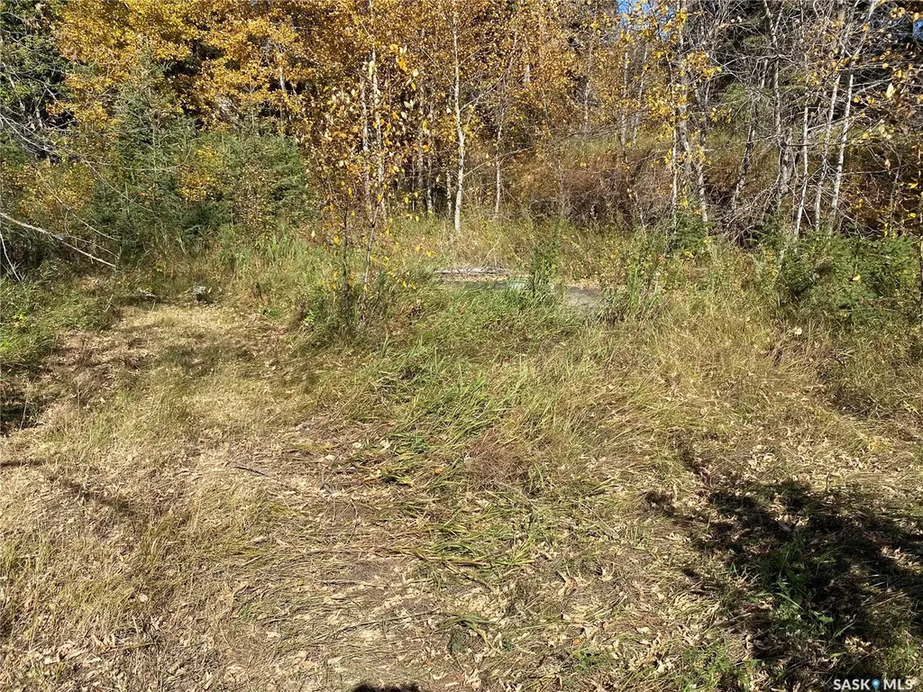 338 Johnson Avenue Big River SK S0J 0E0