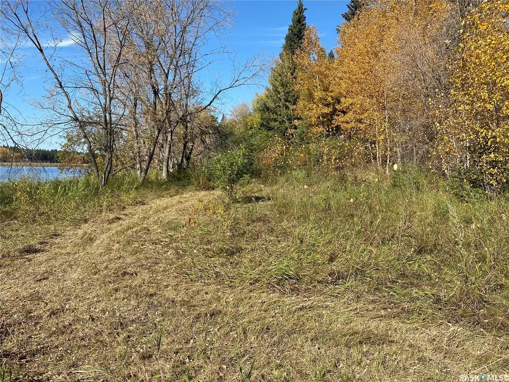 338 Johnson Avenue Big River SK S0J 0E0