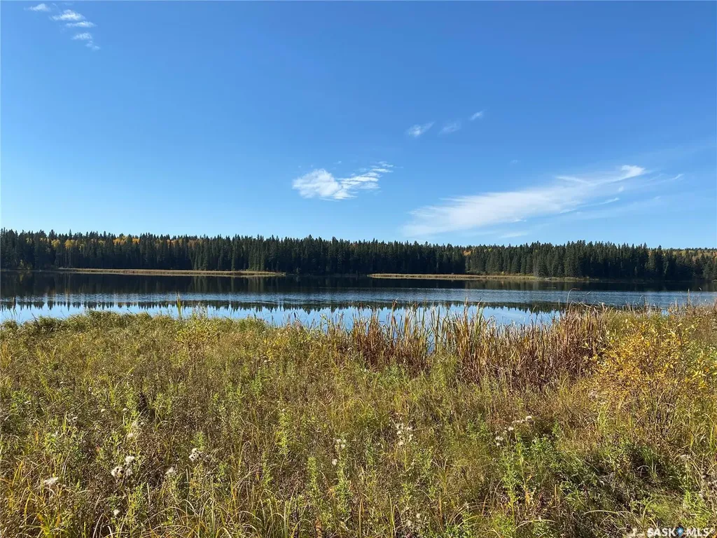 338 Johnson Avenue Big River SK S0J 0E0
