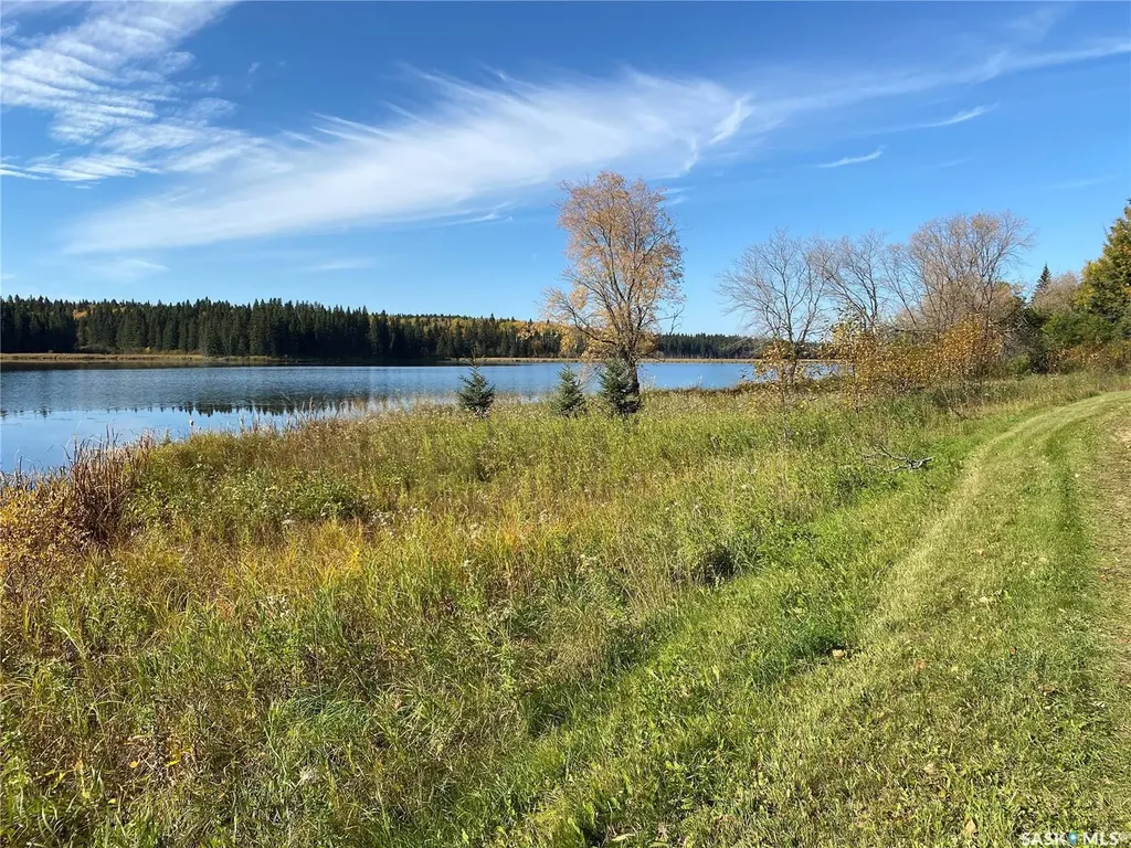 338 Johnson Avenue Big River SK S0J 0E0