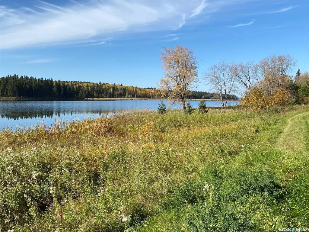 338 Johnson Avenue Big River SK S0J 0E0