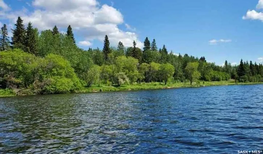 338 Johnson Avenue Big River SK S0J 0E0