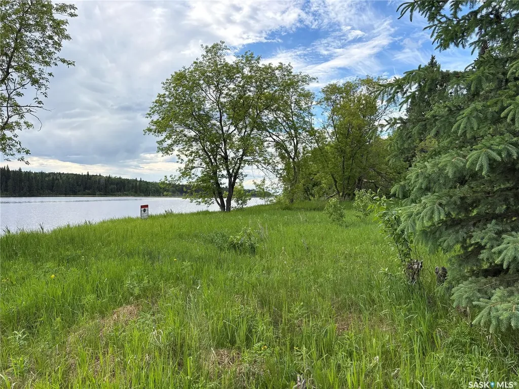 338 Johnson Avenue Big River SK S0J 0E0