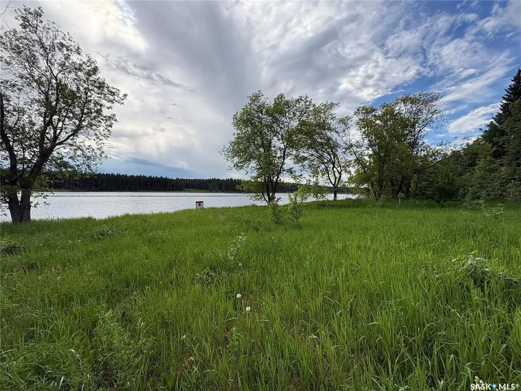 338 Johnson Avenue Big River SK S0J 0E0