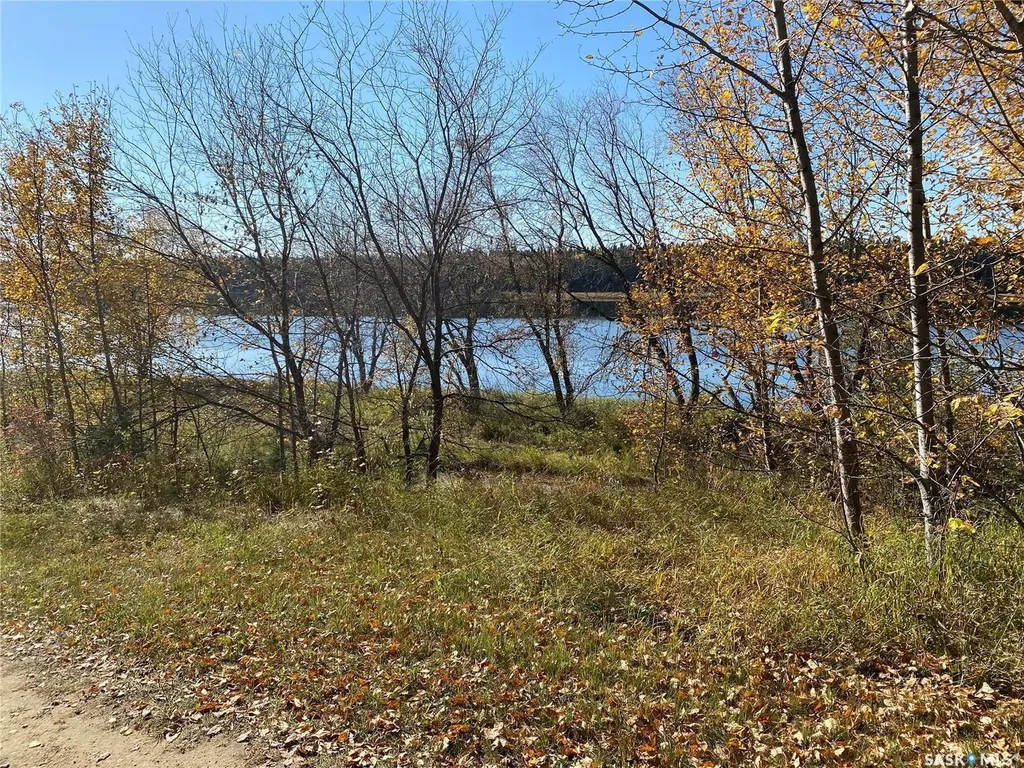 338 Johnson Avenue Big River SK S0J 0E0