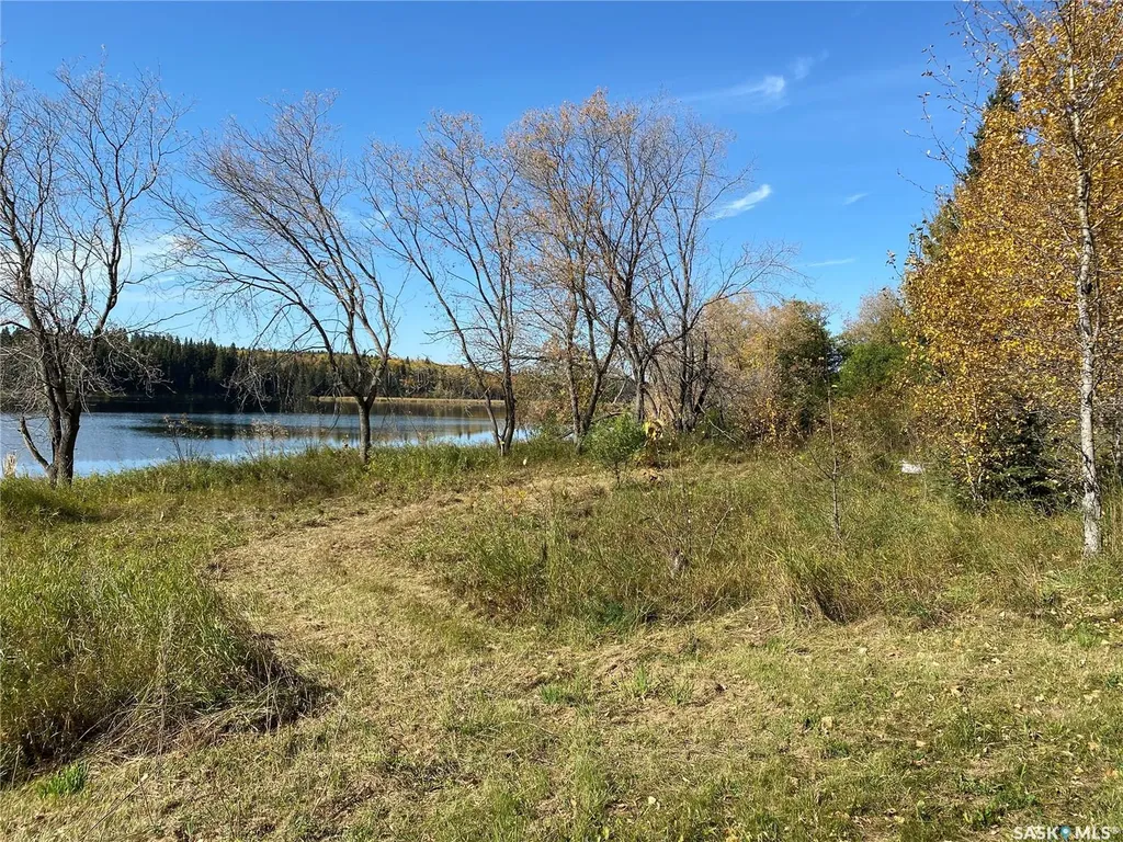 338 Johnson Avenue Big River SK S0J 0E0