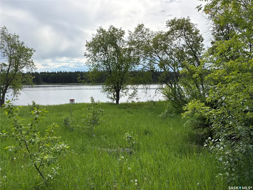 338 Johnson Avenue Big River SK S0J 0E0