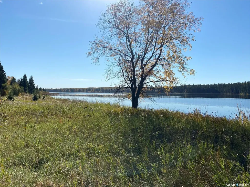 338 Johnson Avenue Big River SK S0J 0E0