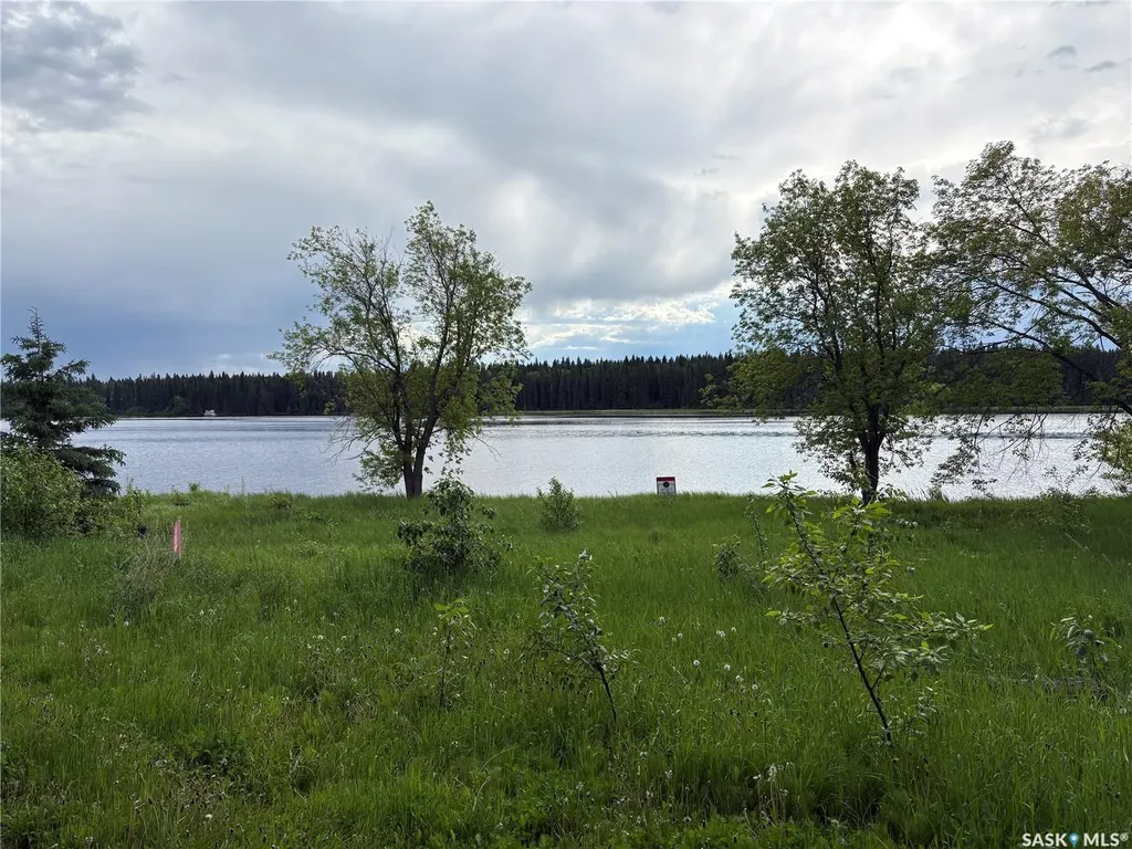 338 Johnson Avenue Big River SK S0J 0E0