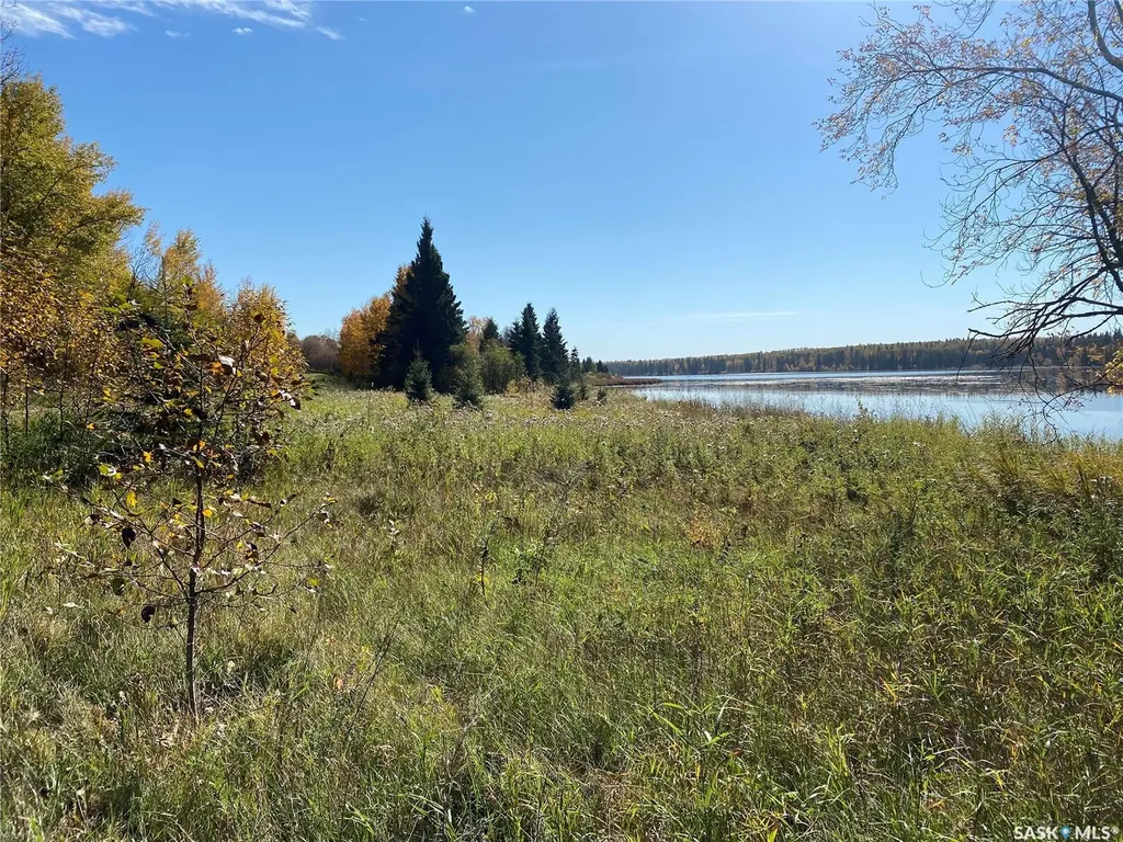 338 Johnson Avenue Big River SK S0J 0E0