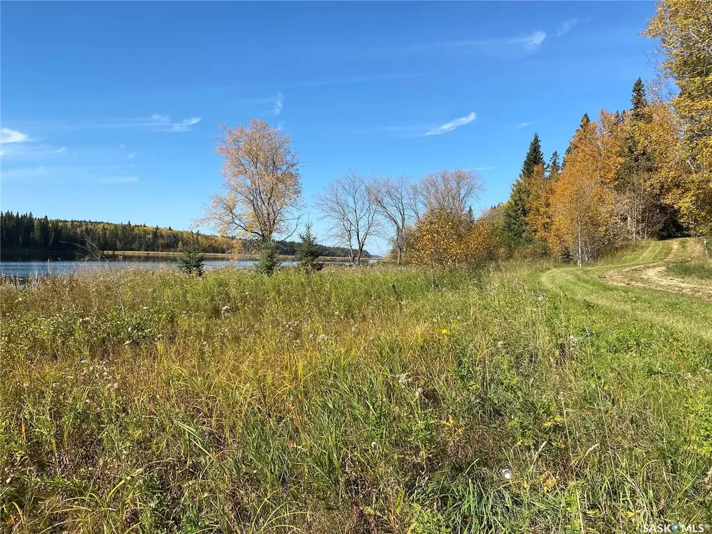 338 Johnson Avenue Big River SK S0J 0E0