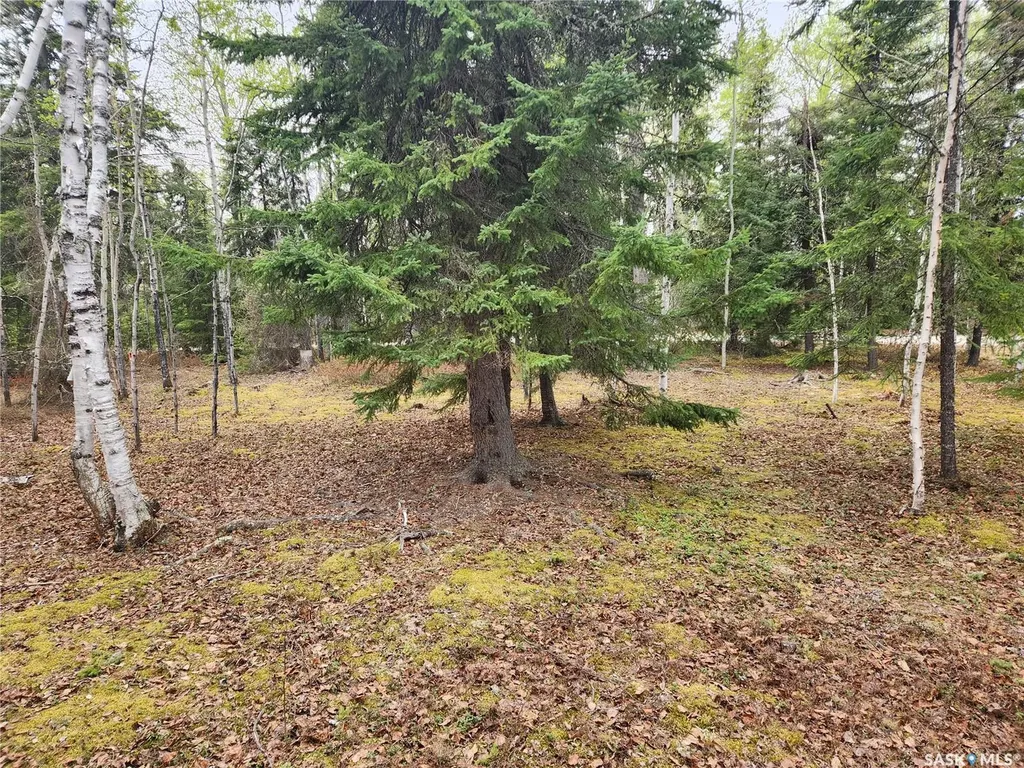 #5 Lookout Road Northern Admin District SK S0P 0A0