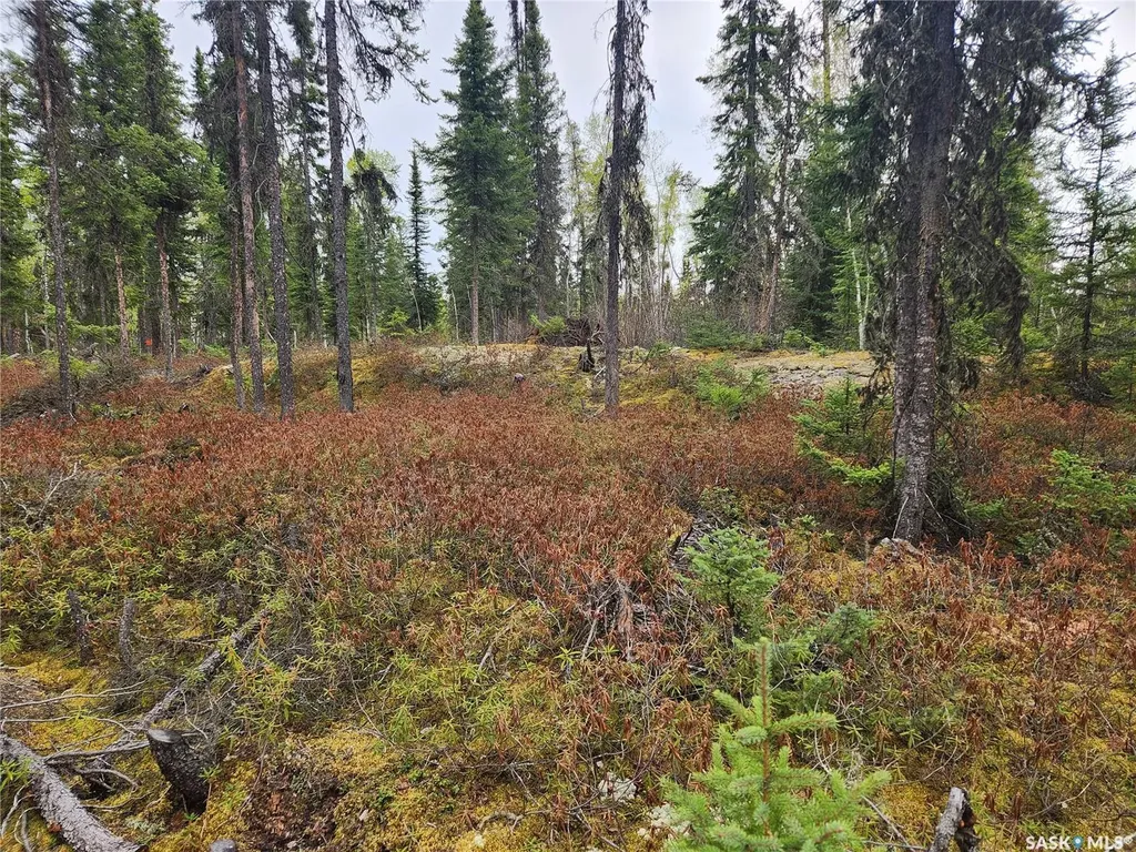 #5 Lookout Road Northern Admin District SK S0P 0A0