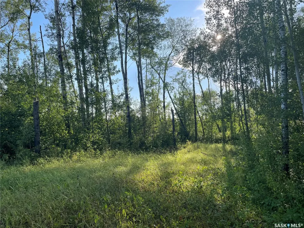 Rural Address Big River Rm No. 555 SK S0J 0E0