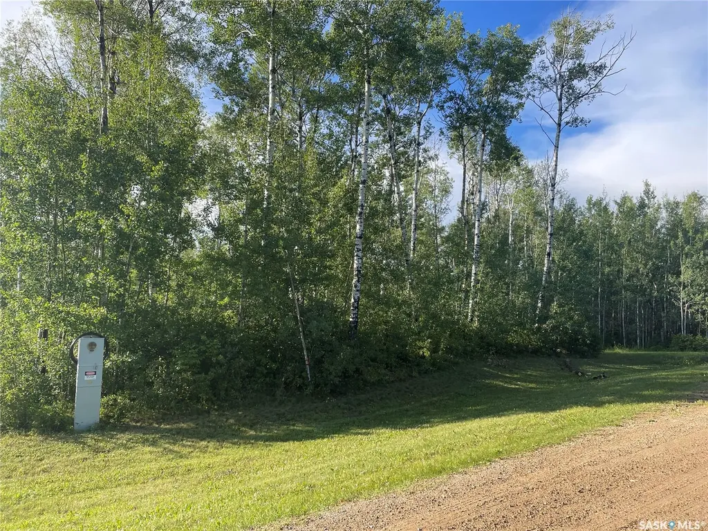 Rural Address Big River Rm No. 555 SK S0J 0E0