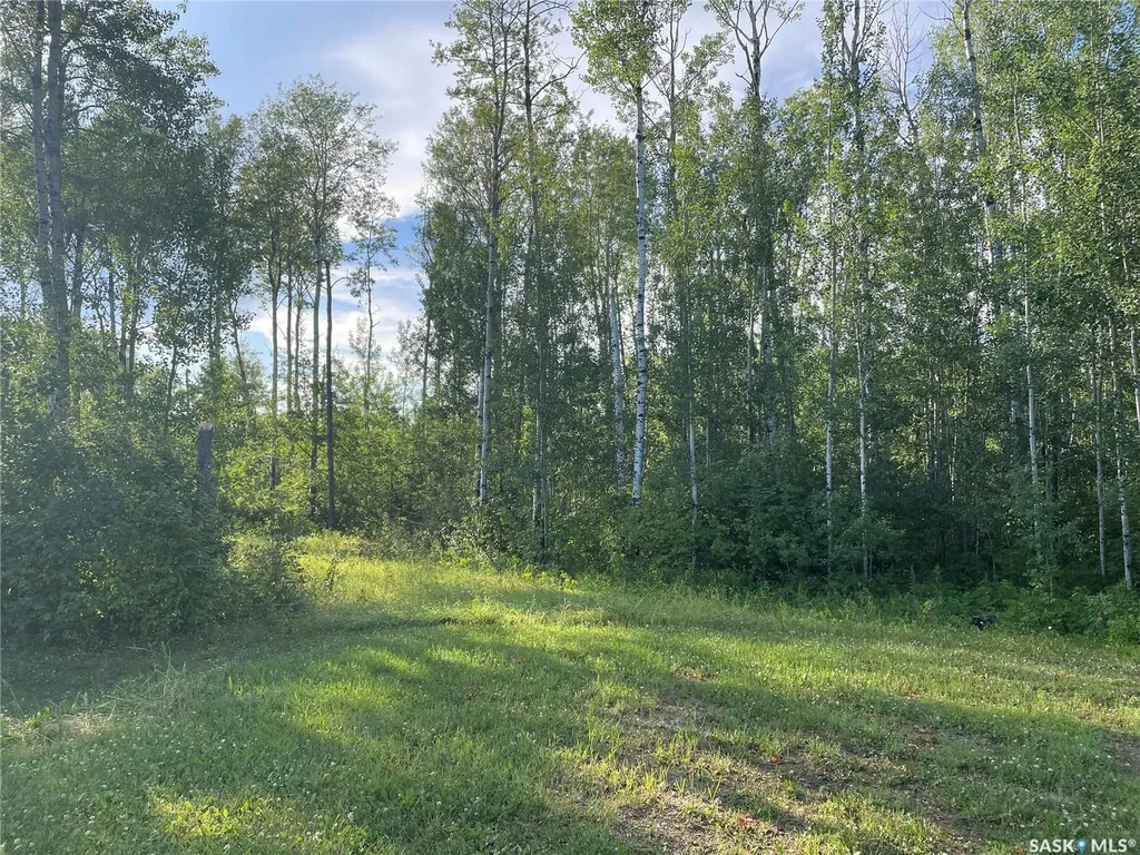 Rural Address Big River Rm No. 555 SK S0J 0E0