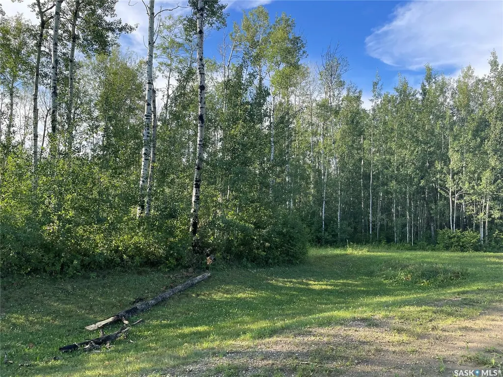 Rural Address Big River Rm No. 555 SK S0J 0E0