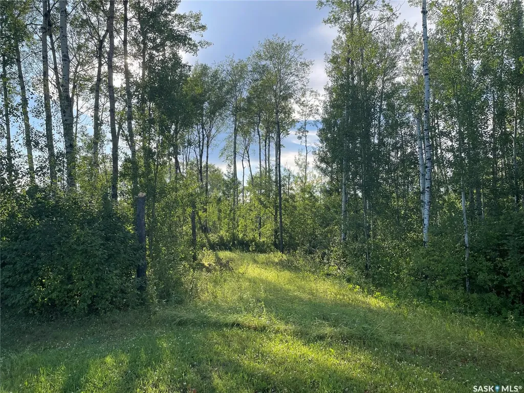 Rural Address Big River Rm No. 555 SK S0J 0E0