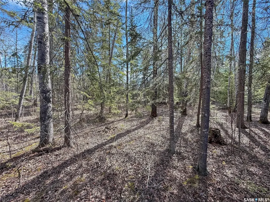 12 5th Avenue Candle Lake SK S0J 3E0