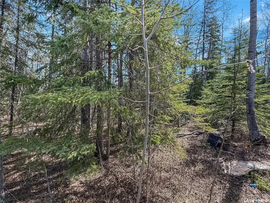 12 5th Avenue Candle Lake SK S0J 3E0