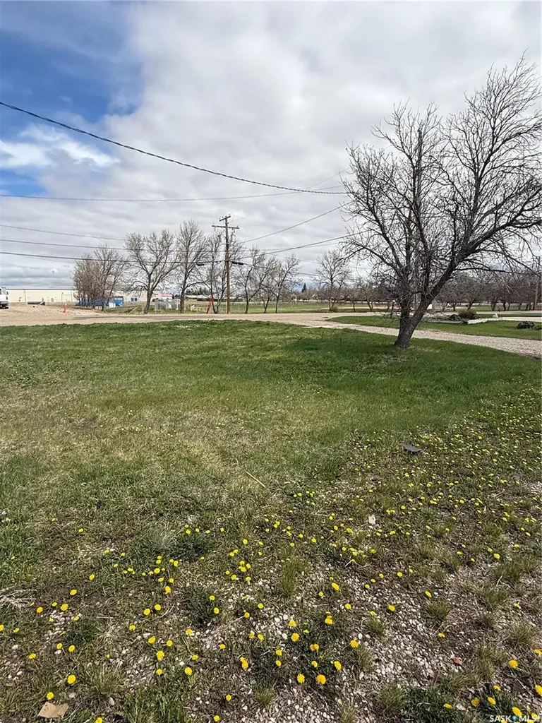 603 5th Street SW Eston SK S0L 1A0