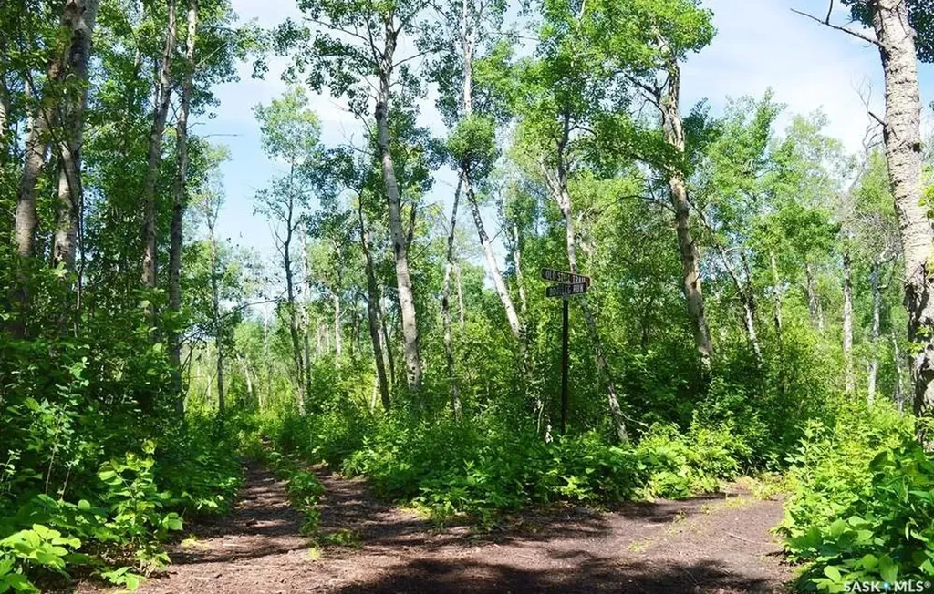 Rural Address Lake Lenore Rm No. 399 SK S0K 3V0